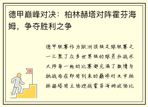 德甲巅峰对决：柏林赫塔对阵霍芬海姆，争夺胜利之争