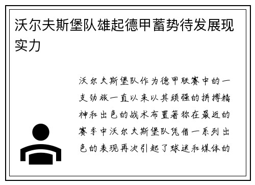 沃尔夫斯堡队雄起德甲蓄势待发展现实力