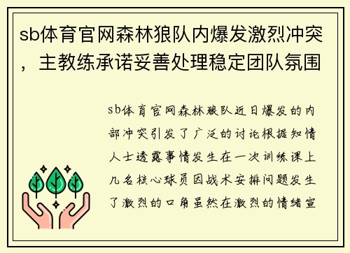 sb体育官网森林狼队内爆发激烈冲突，主教练承诺妥善处理稳定团队氛围 - 副本