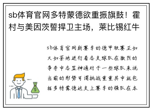 sb体育官网多特蒙德欲重振旗鼓！霍村与美因茨誓捍卫主场，莱比锡红牛能否再现大胜？ - 副本