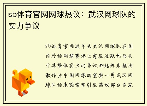 sb体育官网网球热议：武汉网球队的实力争议