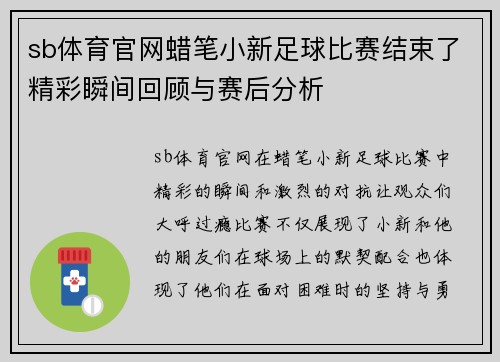 sb体育官网蜡笔小新足球比赛结束了精彩瞬间回顾与赛后分析