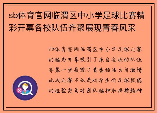 sb体育官网临渭区中小学足球比赛精彩开幕各校队伍齐聚展现青春风采