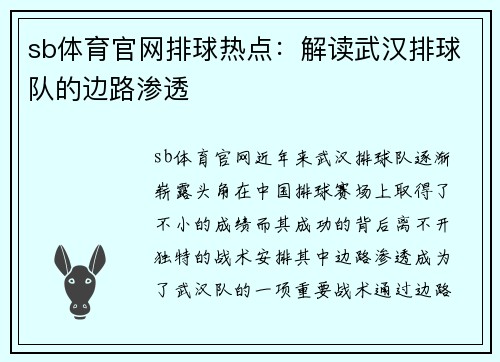 sb体育官网排球热点：解读武汉排球队的边路渗透
